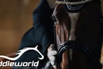 Saddleworld Bundaberg - Strategic Retail Hub with Growth Potential