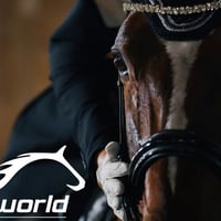 Saddleworld Bundaberg - Strategic Retail Hub with Growth Potential image