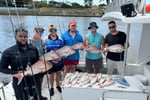Fishing Charters