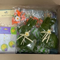 Established Party & Themed Retail - Online - B2B & E-Commerce National Clients image