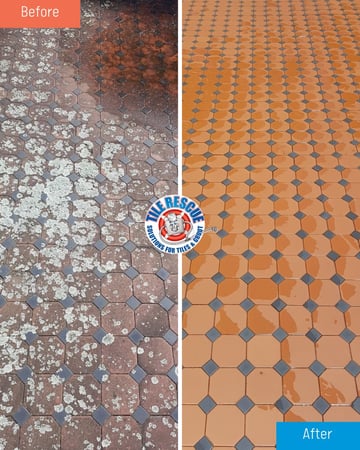Tile and Grout Repair Business - Randwick, NSW