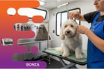 36719 Dog Grooming Business With Loyal Customer Base