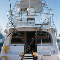 Bait & Tackle super store Gold Coast for Sale image