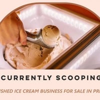 HIGH STREET ICECREAMERY - HEAVILY DISCOUNTED - FIRST TO SEE WILL BUY! image