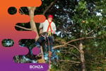 35246 Well-Established Tree Services & Arborist Business