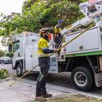 Vegetation Maintenance Municipal Contractor - EBS image