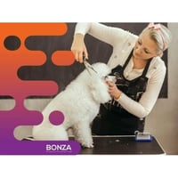 35482 Popular Pet Grooming Salon on the Sunshine Coast image