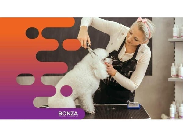35482 Popular Pet Grooming Salon on the Sunshine Coast