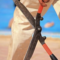Established Commercial Gardening Maintenance Business in Keilor image