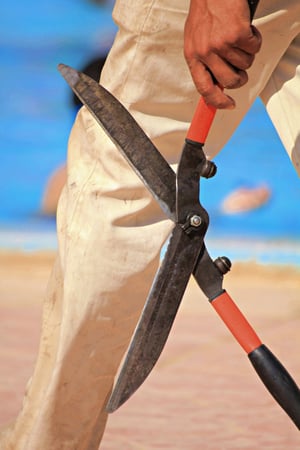 Established Commercial Gardening Maintenance Business in Keilor