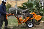 Grow Your Arborist Operation with Climb Right Tree Services