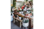 Boutique Plant & Giftware Store  Creative Lifestyle Business | Sydney