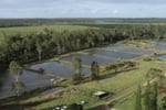 Established Freshwater Fish Hatchery & Supplier