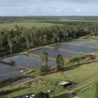 Established Freshwater Fish Hatchery & Supplier image