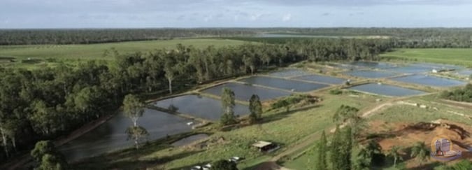 Established Freshwater Fish Hatchery & Supplier