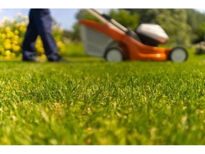 Mower And Power Equipment Store For Sale - Proven Profitability & Growth Potential image