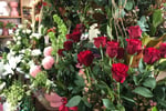 Oakleighs Iconic Florist Nursery Business for Sale SV1585