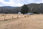 Rare Secluded Private Retreat Tyne River Alternative Life Style Self Sufficiency 5Star Home $850K