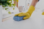 Holiday Home Cleaning Business - Cairns, QLD