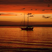 Garage & Shed Supply & Installation Business in Mackay QLD image