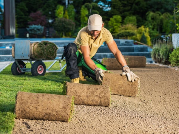 Established Landscaping Business | Net Profit  $304,038  Illawarra Region