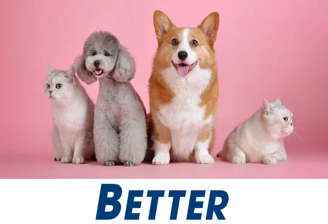 Exceptional Dog Grooming Salon