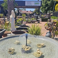 Specialist Retail Garden Centre - Clearview, SA image