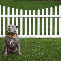 Building/Construction Quotation Website image