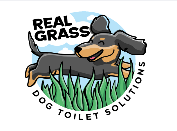 Established Perth Pet Care Niche with Strong SEO and Loyal Customer Base