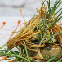 For Sale New Unparalleled Pan Asian Dining Highly Profitable Parramatta Sydney image