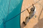 Pool Servicing and Repairs - Established 30years