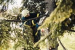 Expand Your Reach with this Proven Arboriculture Operation