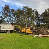 Fully Equipped Tree Services Business with Ongoing Bookings image