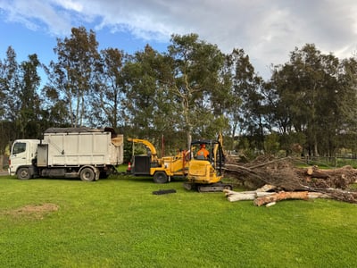 Photo of Fully Equipped Tree Services Business with Ongoing Bookings