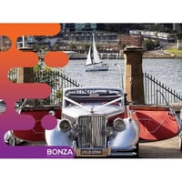 37017 - Vintage Wedding Chauffeur Business - Unique Fleet  image