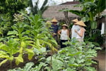 Eco Resort Indonesia - Well Established