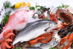 Established Seafood Processing Wholesale Business - Melbourne