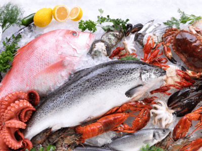 Established Seafood Processing Wholesale Business - Melbourne image