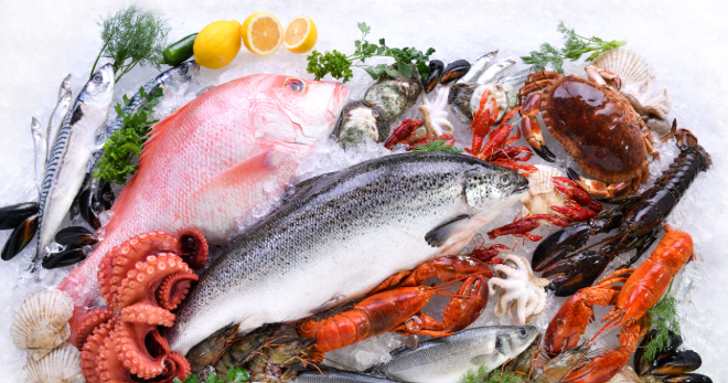 Established Seafood Processing Wholesale Business - Melbourne