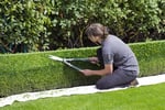 Garden Services - Recurring Income - Staff in Control