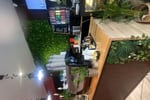 Turnkey Cafe & Restaurant Business For Sale - Prime Melbourne CBD - VIC Location - Strong Weekly Turnover of $14,000-$15,000 - Fully Equipped - Expans