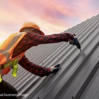 Roofing (Metal) Installation Business - Sydney image