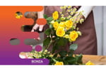 36084 Established & Popular Florist - Diverse Income Streams