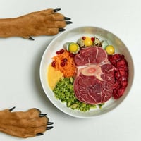 Fresh Pet Food & Retail Shop - Dandenong MW1504 image