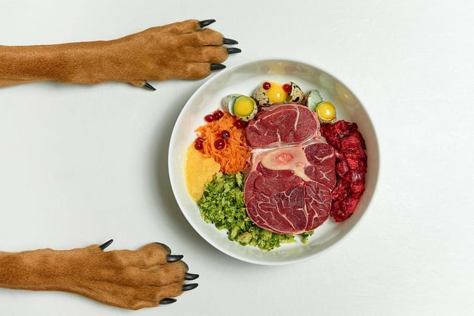 Fresh Pet Food & Retail Shop - Dandenong MW1504
