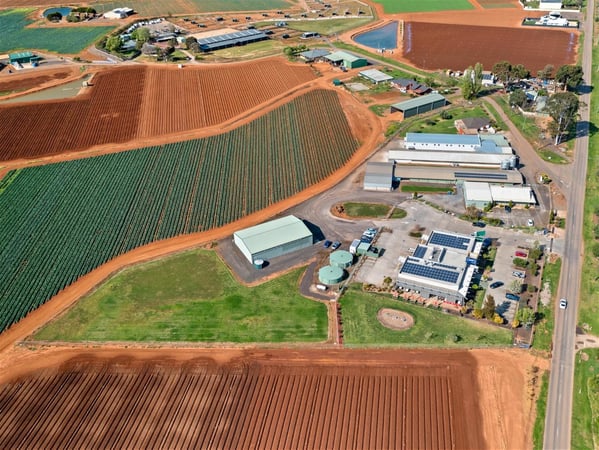 Diversified Food Business - $1m+ EBITDA