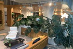 High-Margin Plant Service Business