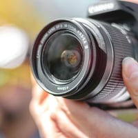 Photography in Sydney Region, NSW image