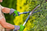 Established Garden Maintenance Business - Recurring Clients