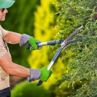 Established Garden Maintenance Business - Recurring Clients image